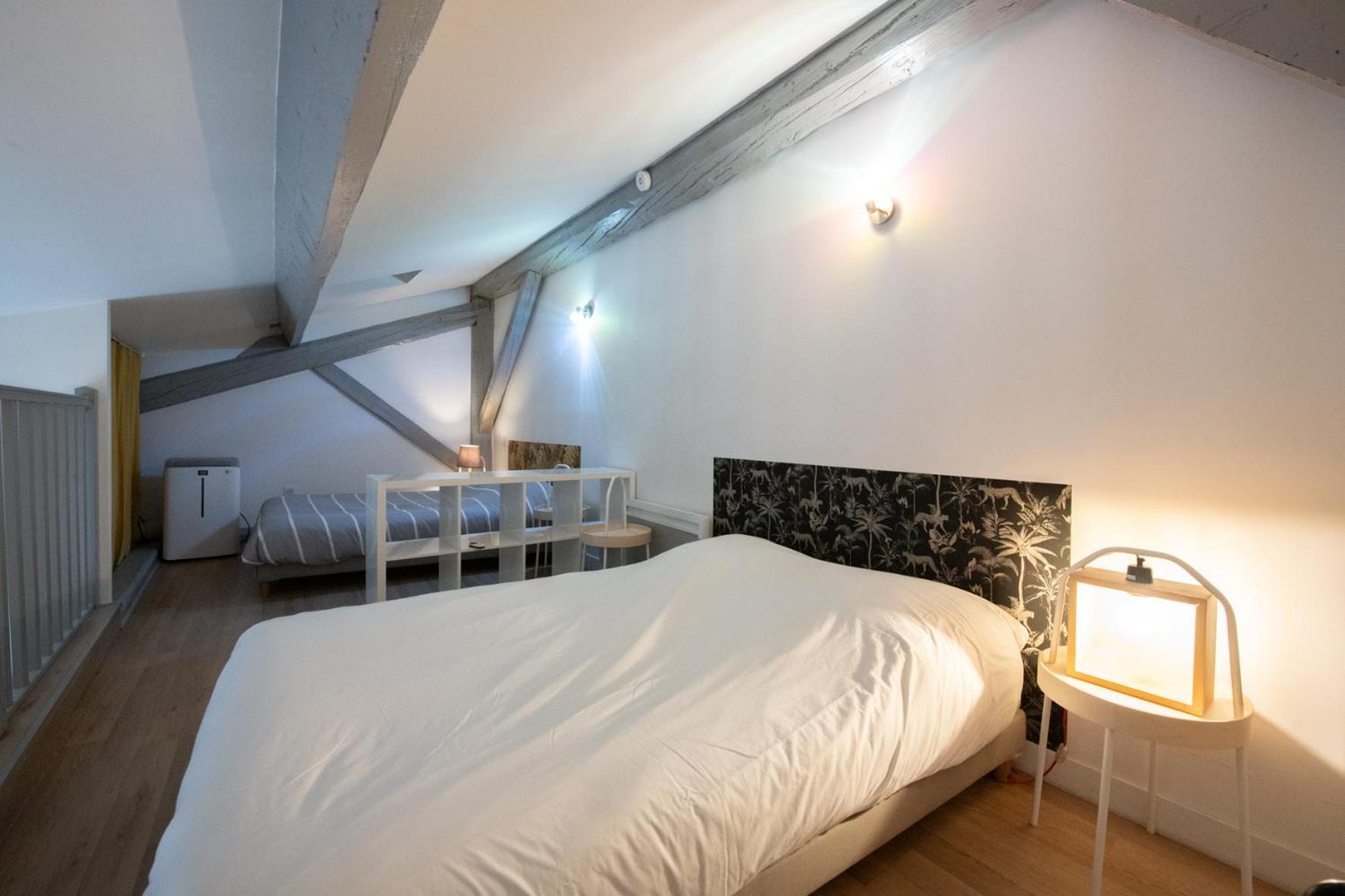 Duplex Scandinave A Cosy Et Calme - Lyon Part-Dieu ภายนอก รูปภาพ
